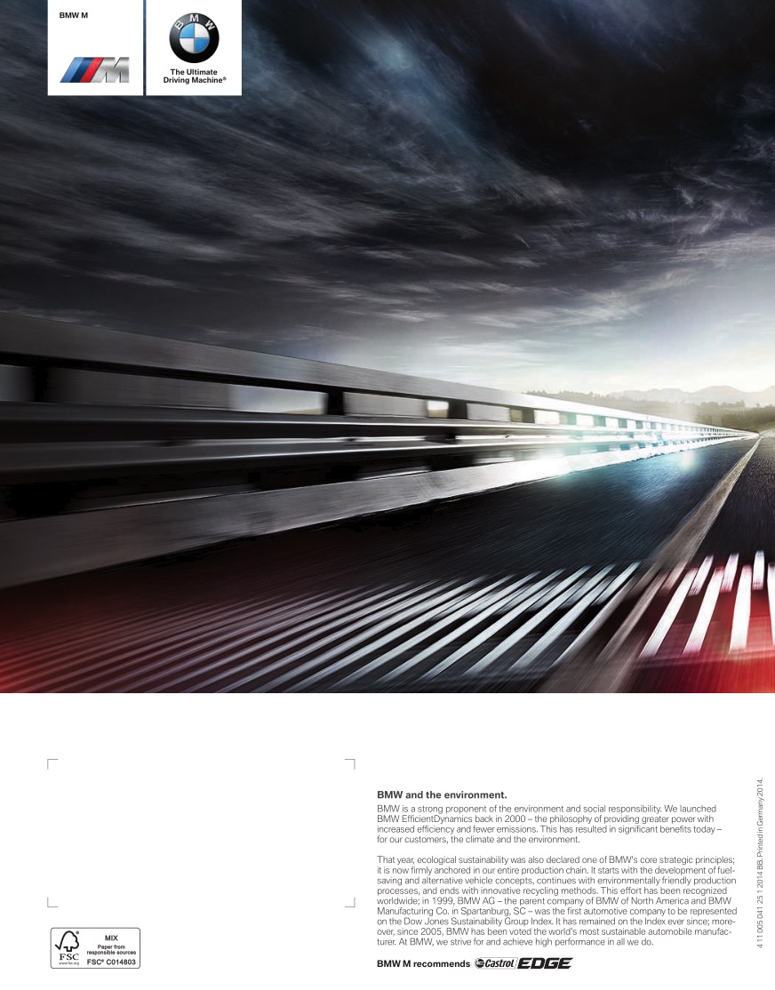 2015 BMW M5 Brochure Page 31